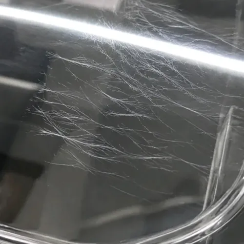 A close-up view of a highly transparent injection-molded plastic part showing severe silver streaks and splay marks on its surface under illumination. These white, feather-like gaseous lines stretch along the melt flow direction, representing a common quality defect in PC or PMMA lens manufacturing caused by moisture or thermal degradation.